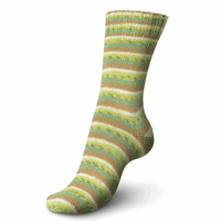 Regia Cotton Color Tutti Fruitti Sock Yarn - 100g