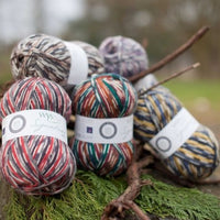 West Yorkshire Spinners Country Birds Self Striping Sock Yarn - 100g